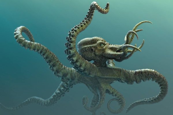 Kraken смылка
