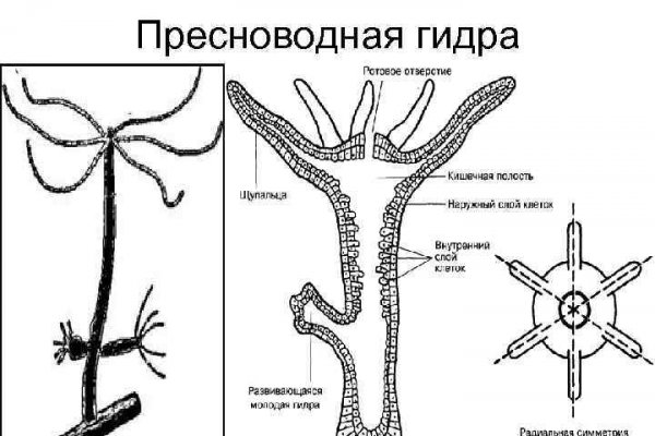 Кракен ссылка купить соли