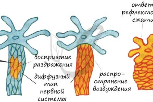 Кракен ссылка на сайт тор